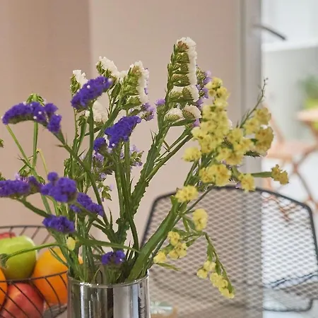 Friday Collection Apartamento La Canea